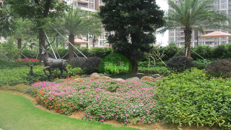 会议室租摆花卉材质对比：选对材质，提升会议环境品质