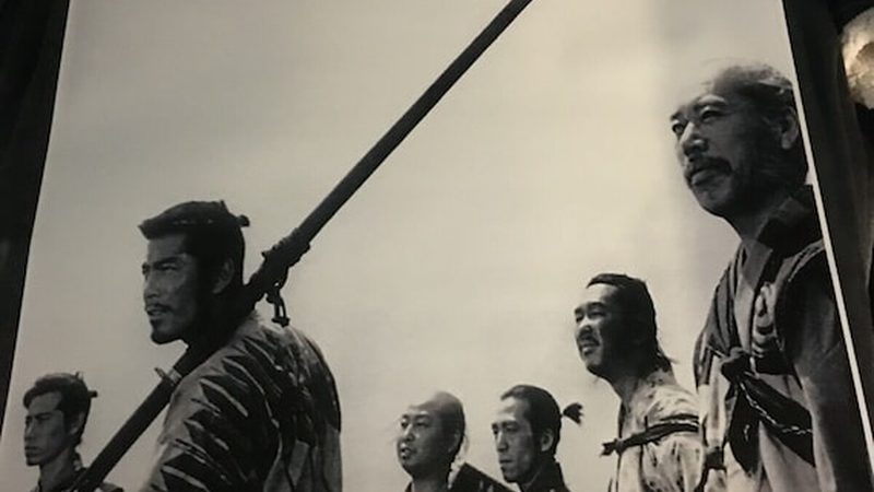 写字楼绿化养护注意事项