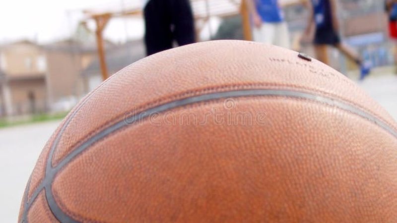 市政绿化病虫害防治流程：科学预防，守护绿色家园