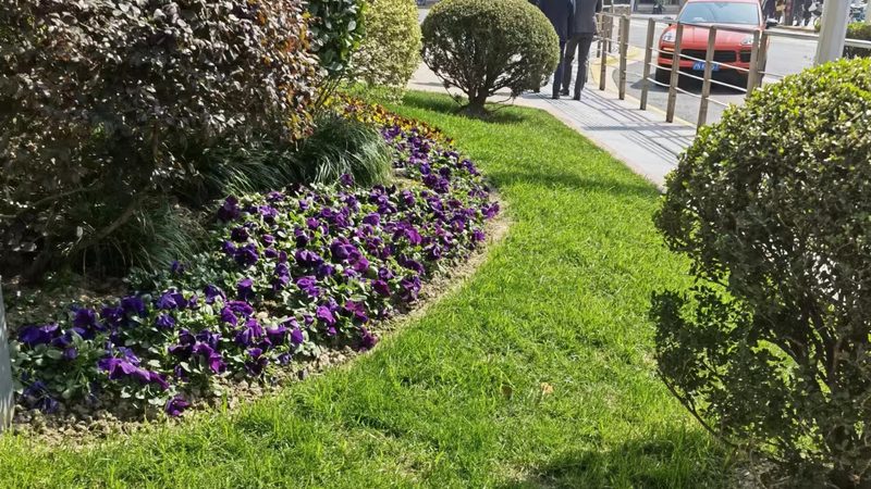 边坡客土喷播植草，这些注意事项你了解吗？**