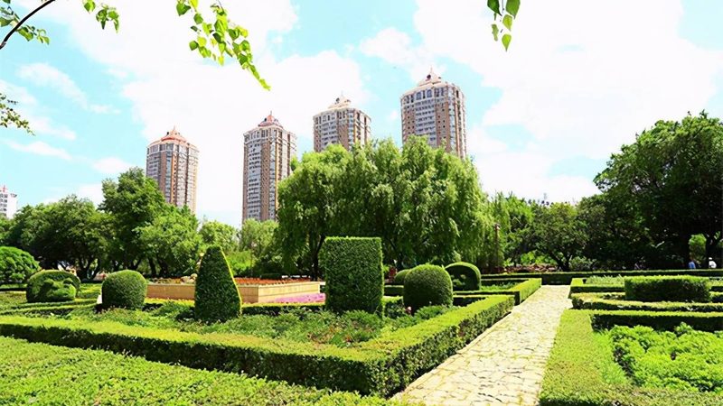 绿化种植密度如何计算：关键因素与步骤解析