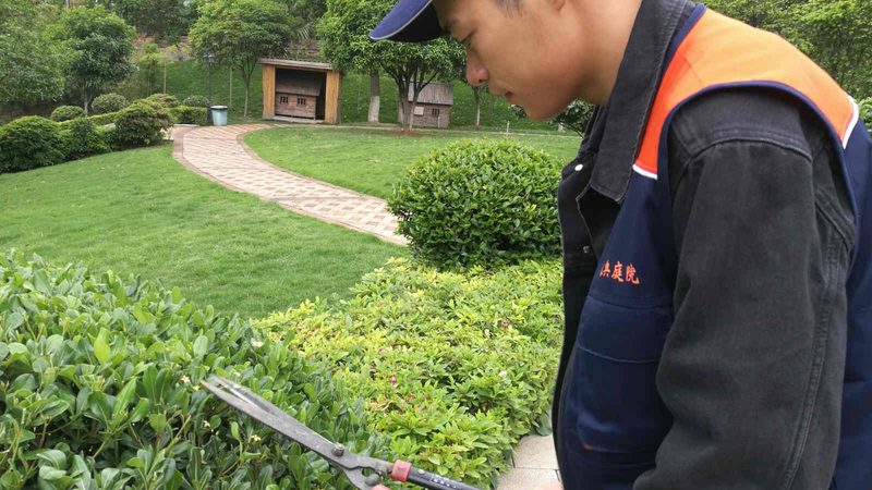 公园草坪养护承包合同：关键要素与注意事项