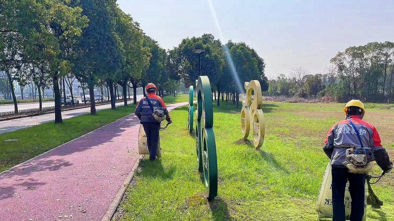道路绿化苗木规格与价格解析：关键因素与选购策略