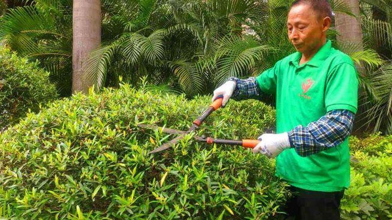 立体绿化墙板：价格背后的考量因素
