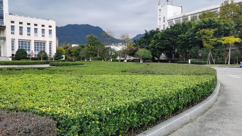 假山喷泉材质没选对，后期维护能让人崩溃
