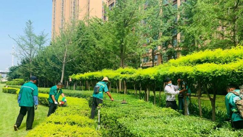 屋顶绿化专用排水板：价格与性能的平衡之道