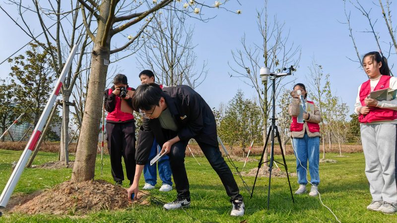 立体绿化墙定制：打造绿色建筑的秘密武器